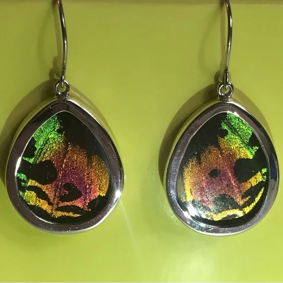 Real Butterfly Wing Earrings Sterling Silver Handmade Jewelry Oval Teardrop - Picture 8 of 9